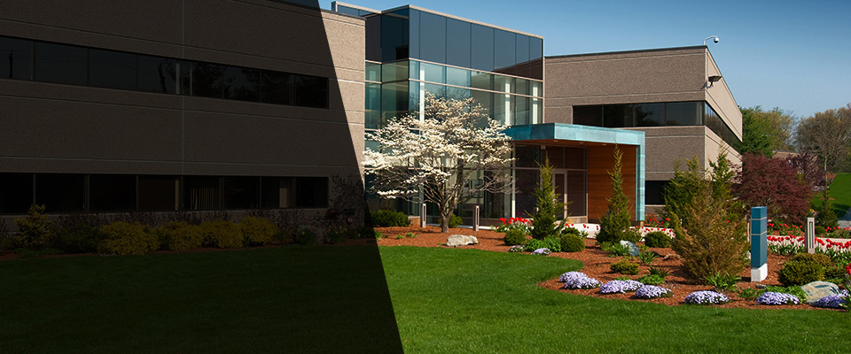 Pepin Landscapers