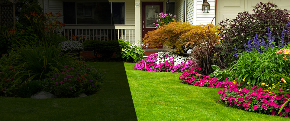 Pepin Landscapers