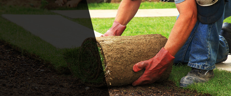 Pepin Landscapers